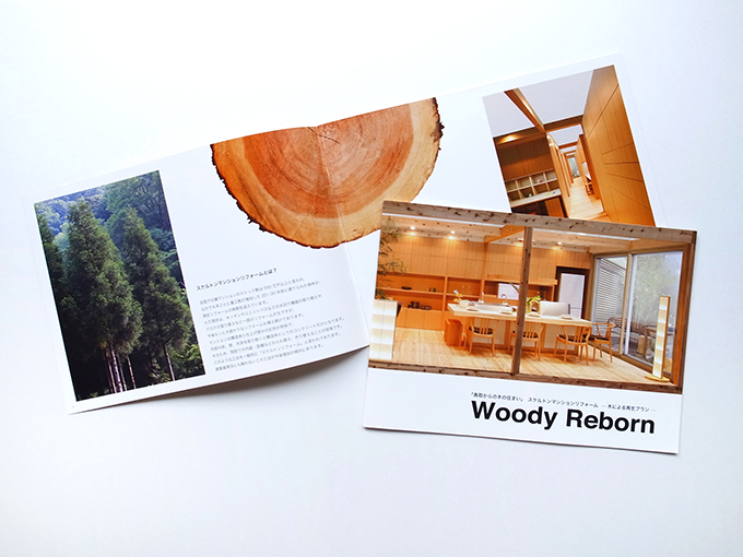 woodyreborn_catalog01